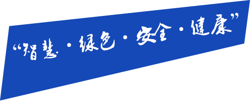智慧，綠色，安全，健康